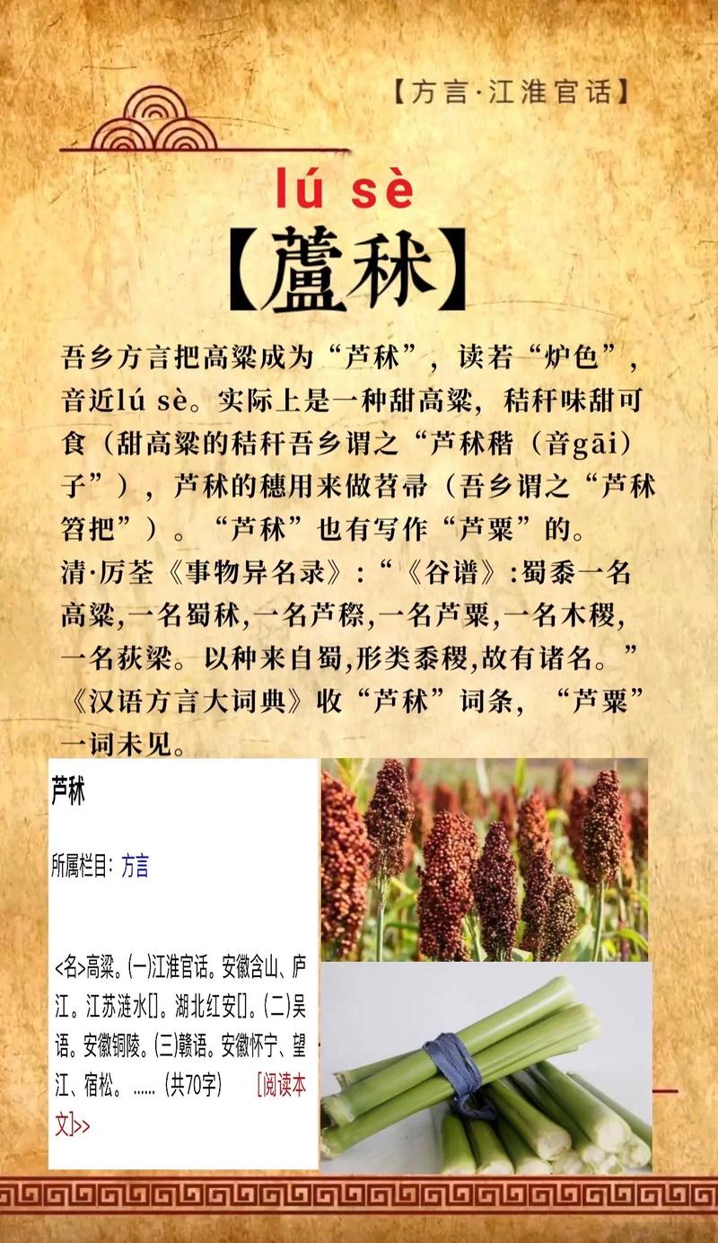 今日科普一下！体育方面期刊,百科词条爱好_2024最新更新